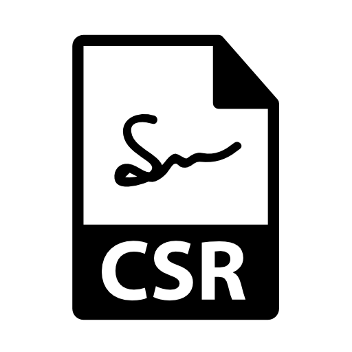 CSR file format