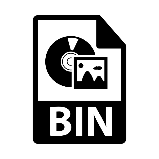 BIN file format