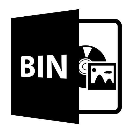 BIN open file format