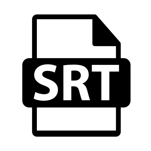 SRT file format symbol
