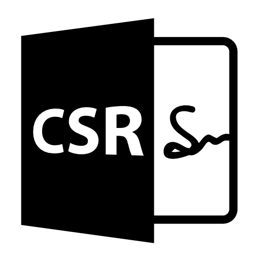 CSR open file format