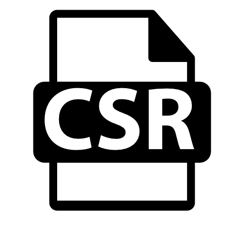 CSR file format variant