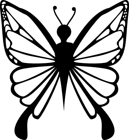 Femenine butterfly design top view