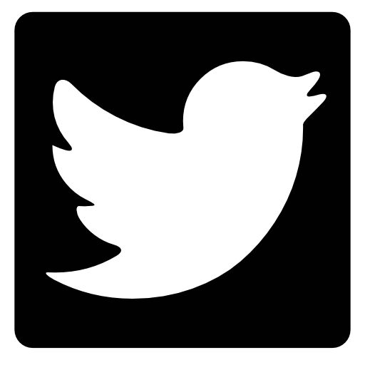 Twitter bird logo shape in a square