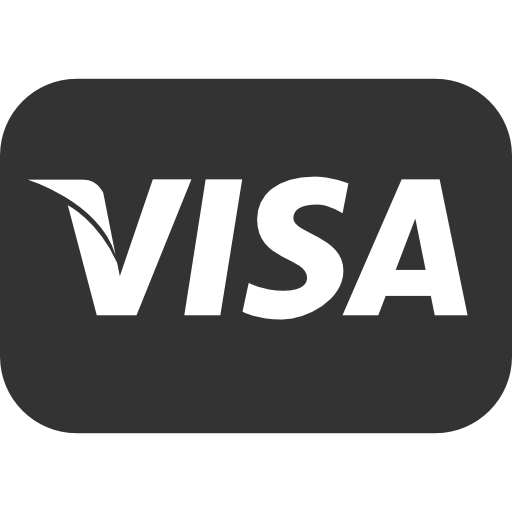Visa logo on rectangular button