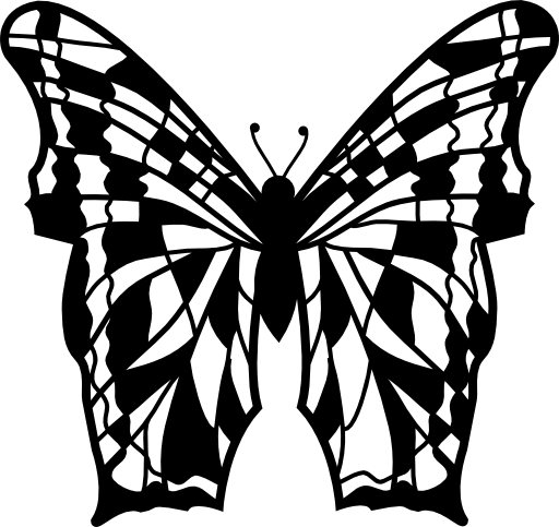 Butterfly of complex wings design