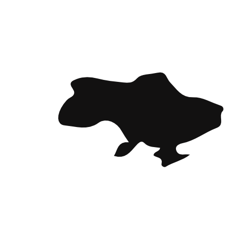 Ukraine country map silhouette