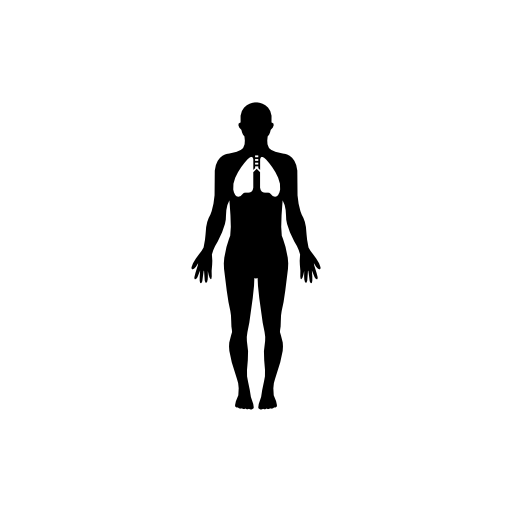Human silhouette with focus on the lungs