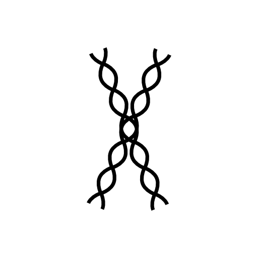 DNA strands outline
