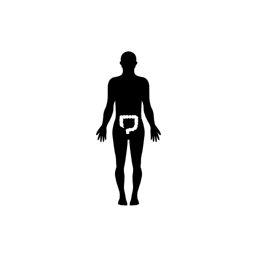 Human body silhouette with highlight on large intestines
