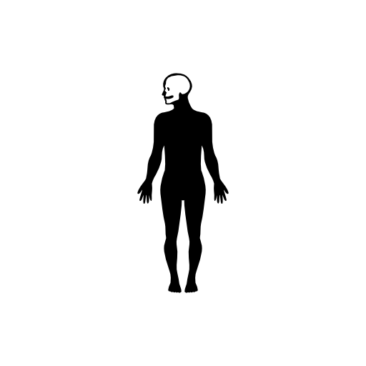 Human body silhouette with focus on the head