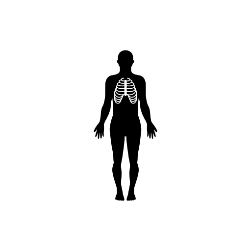 Human body silhouette with focus on respiratory system