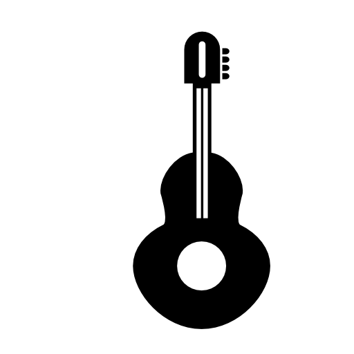 Guitar musical instrument
