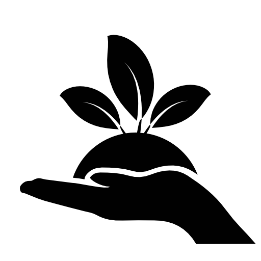 Plant leaves on a hand
