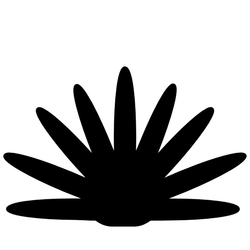 Agave plant silhouette of Mexico