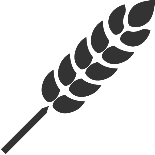 Wheat plant silhouette