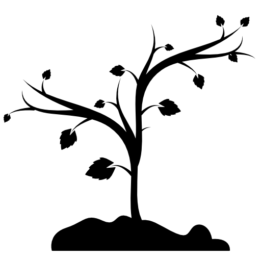 Tree shape