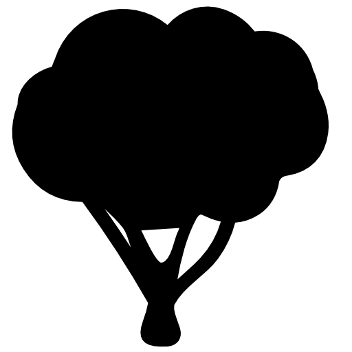Tree shape
