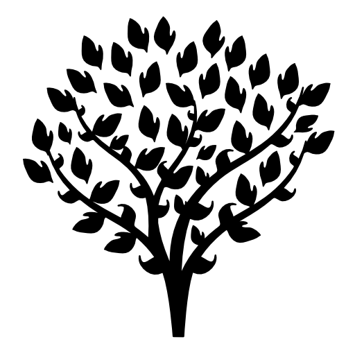 Tree with thin branches covered by leaves