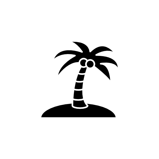Coconut tree on an island