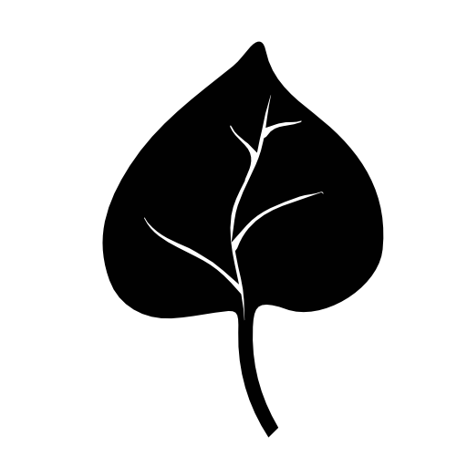 Leaf of a plant