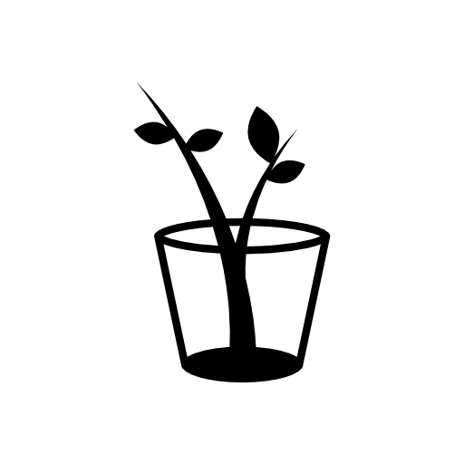 Glass with a plant