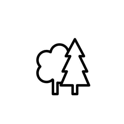 Trees outline