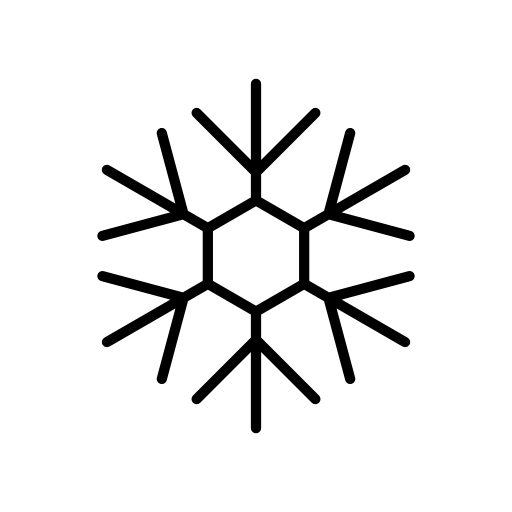 Snowflake shape with lines