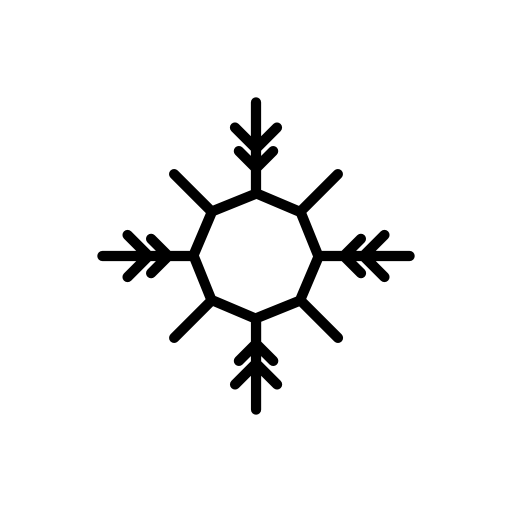 Snowflake with octagon central shape