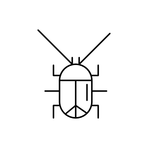 Cockroach animal