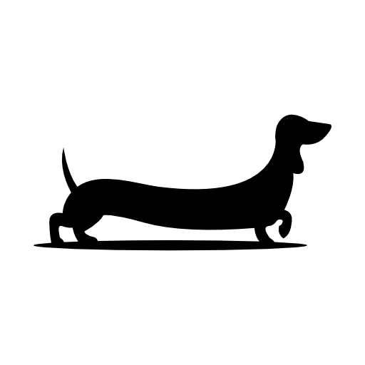 Dog with long body