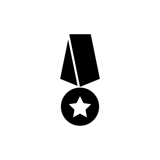Medal with a star hanging of a gross ribbon
