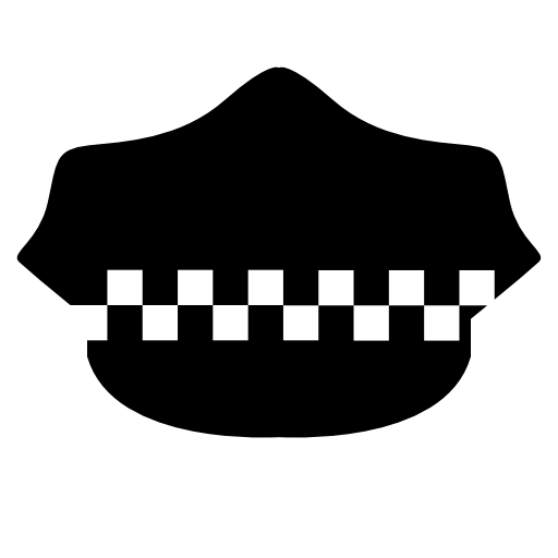 Police hat with checkered details
