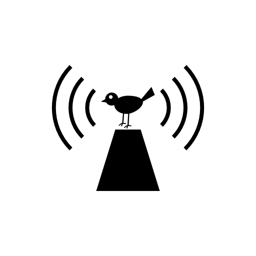 Wifi bird