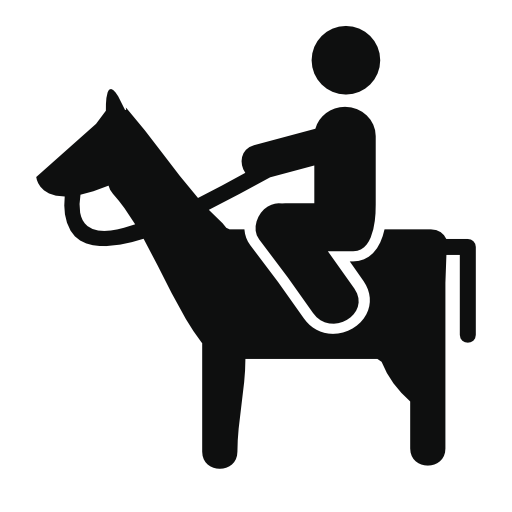 Man riding a horse side view