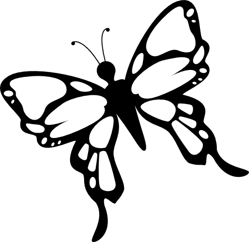 Butterfly with detailed wings