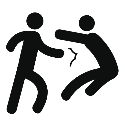 Person fight punch