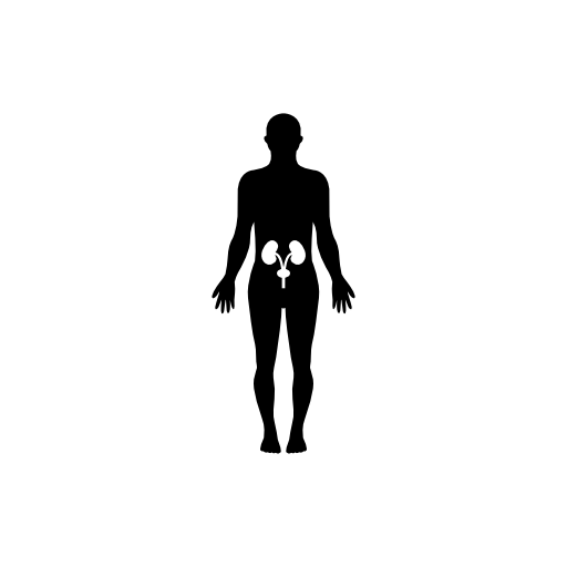 Human hips bones inside a standing male body black silhouette