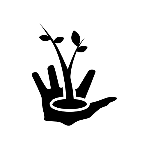 Gardener hand with a growing plant on it