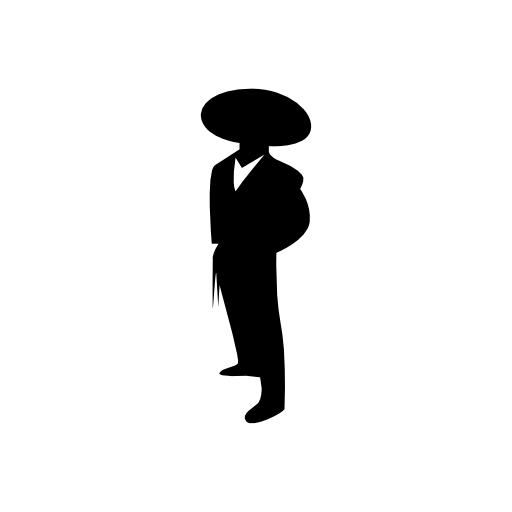 Flamenco male dancer
