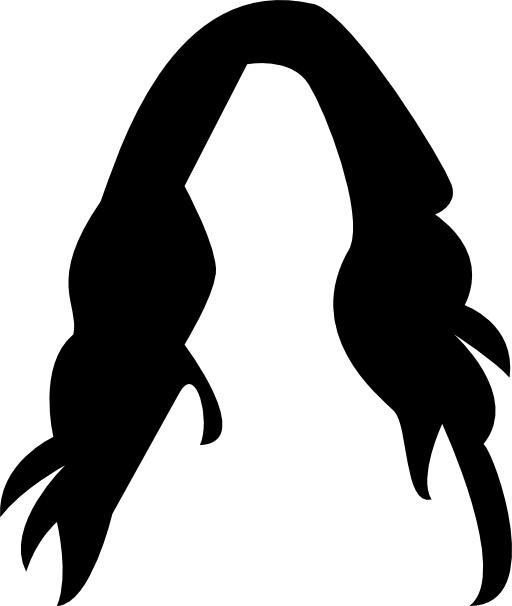 Female long dark hair wig