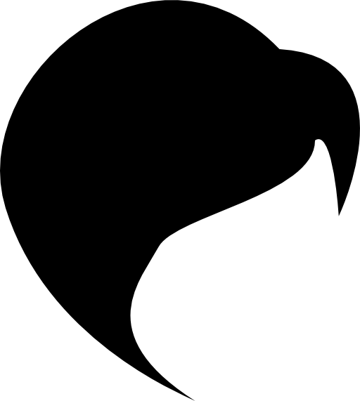 Hair shape