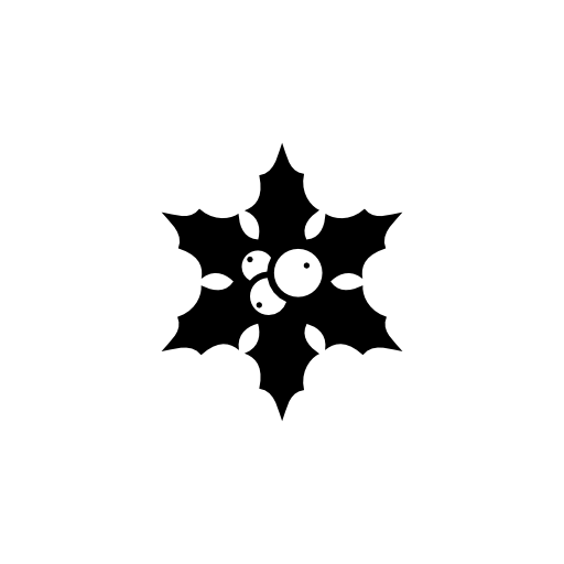 Christmas star flower ornamental shape