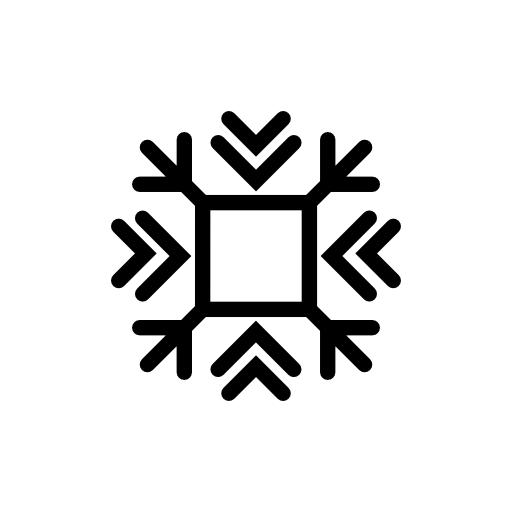 Snowflake of winter