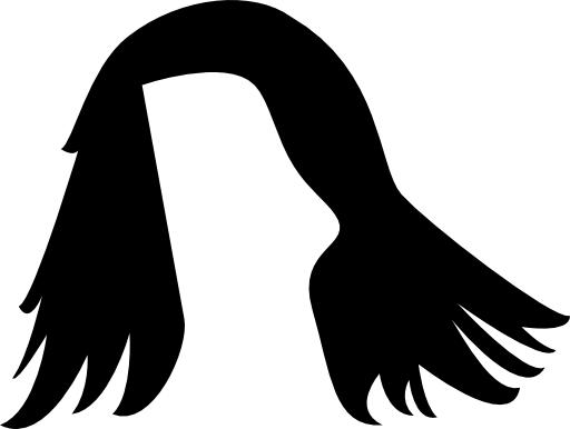 Human hair shape