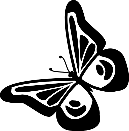 Butterfly design top view rotated to left