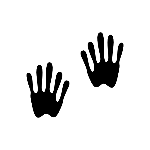 Hands shapes