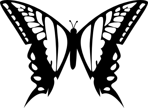 Butterfly design of two big wings from top view