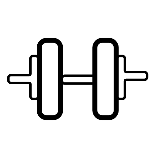 Dumbbell with disks. Weight training object