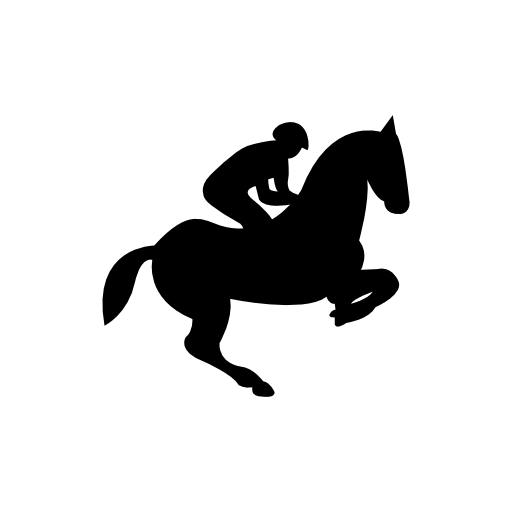 Jumping horse with jockey silhouette